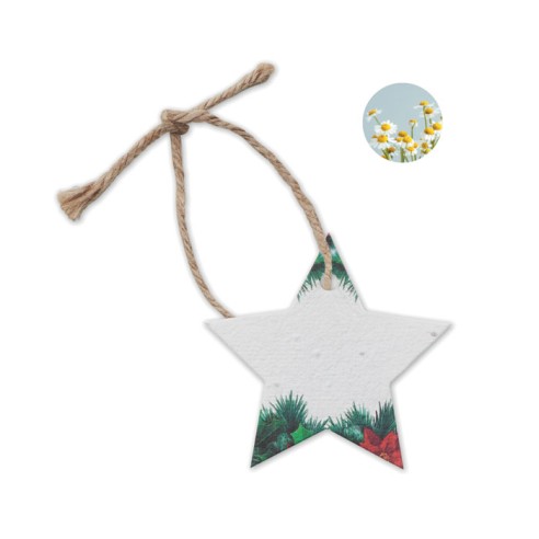 Seed paper Xmas ornament STARSEED