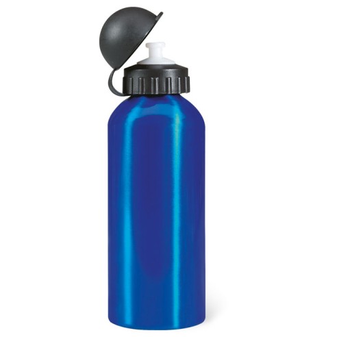 Aluminium bottle 600 ml BISCING