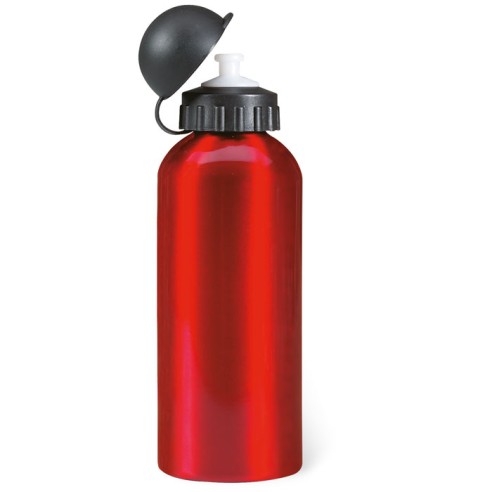 Botella de aluminio 600 ml BISCING