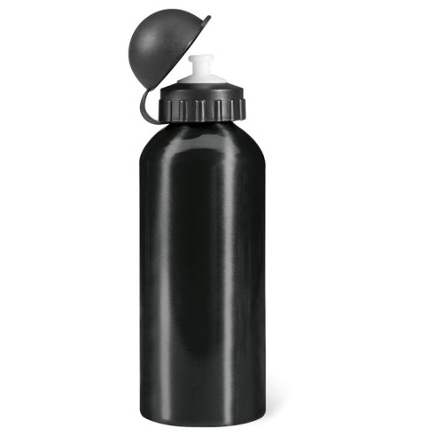 Aluminium bottle 600 ml BISCING