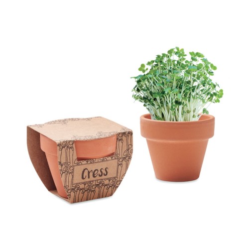 Maceta con semillas de berro CRESS POT