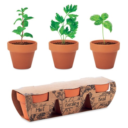 Terracotta 3 herb pot set FLOWERPOT