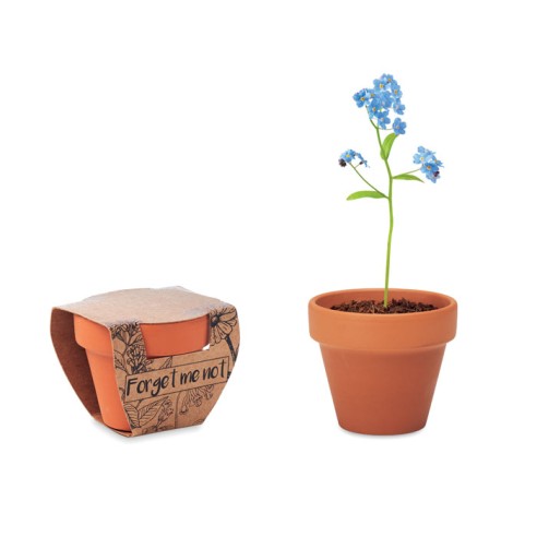 Terracotta pot 'forget me not' FORGET ME NOT