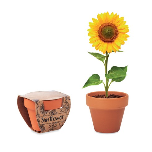 Terracotta pot 'sunflower' SUNFLOWER