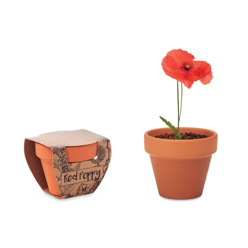 Juego de macetas de terracota RED POPPY