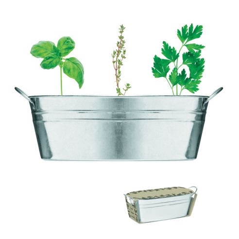 Zinc tub with 3 herbs seeds MIX SEEDS