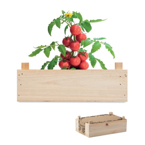 Tomato kit in wooden crate TOMATO